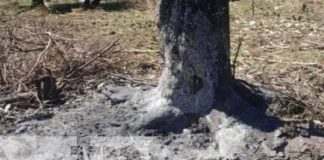 Foto: Violencia extrema y crimen de odio en Chinandega / TN8