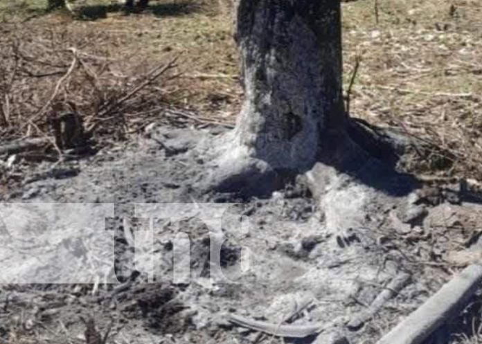 Foto: Violencia extrema y crimen de odio en Chinandega / TN8 Foto: Violencia extrema y crimen de odio en Chinandega / TN8