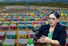 Nicaragua avanza en ordenamiento de la propiedad con más de 725 mil títulos entregados desde 2007 Foto: Ordenamiento de la propiedad en Nicaragua, tema en Estudio TN8