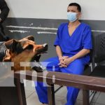 Un ladrido, una piedra y un cuchillo: Ataque de ira en un barrio de Managua Foto: Agresión en un barrio de Managua por los ladridos de un perro / TN8