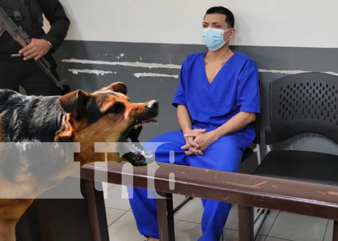 Foto: Agresión en un barrio de Managua por los ladridos de un perro / TN8 Foto: Agresión en un barrio de Managua por los ladridos de un perro / TN8