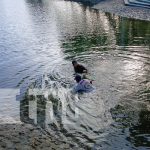 Recuperan cuerpo de hombre que se ahogó en aguas de El Trapiche Foto: Recuperan cuerpo de un hombre en El Trapiche / TN8