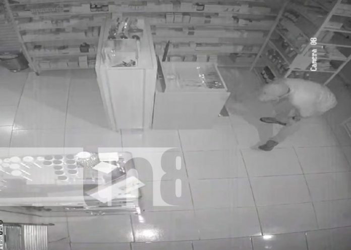 Foto: Robo en una farmacia de Managua / TN8