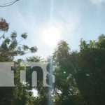 Cómo enfrentar el golpe de calor: aquí te contamos qué hacer este verano Foto: Ojo con las olas de calor en Nicaragua / TN8