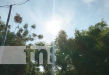 Cómo enfrentar el golpe de calor: aquí te contamos qué hacer este verano Foto: Ojo con las olas de calor en Nicaragua / TN8