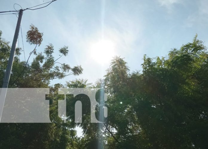 Foto: Ojo con las olas de calor en Nicaragua / TN8