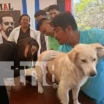 Jornada veterinaria, un éxito en el Sistema Penitenciario de Matagalpa Foto: Jornada veterinaria en Matagalpa / TN8