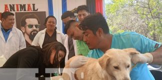 Foto: Jornada veterinaria en Matagalpa / TN8