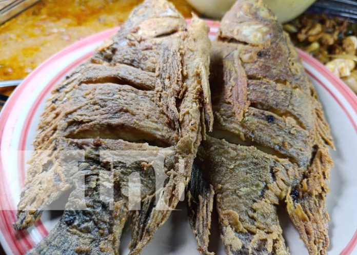 Foto: Gastronomía de Semana Santa en mercados capitalinos / TN8 Foto: Gastronomía de Semana Santa en mercados capitalinos / TN8