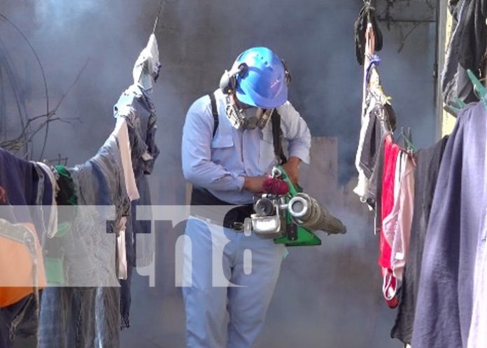 Foto: Fumigación por barrios de Managua / TN8