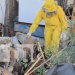 Foto: Ataque de abejas en un barrio de Estelí / TN8