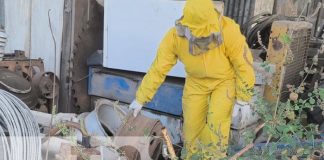 Foto: Ataque de abejas en un barrio de Estelí / TN8