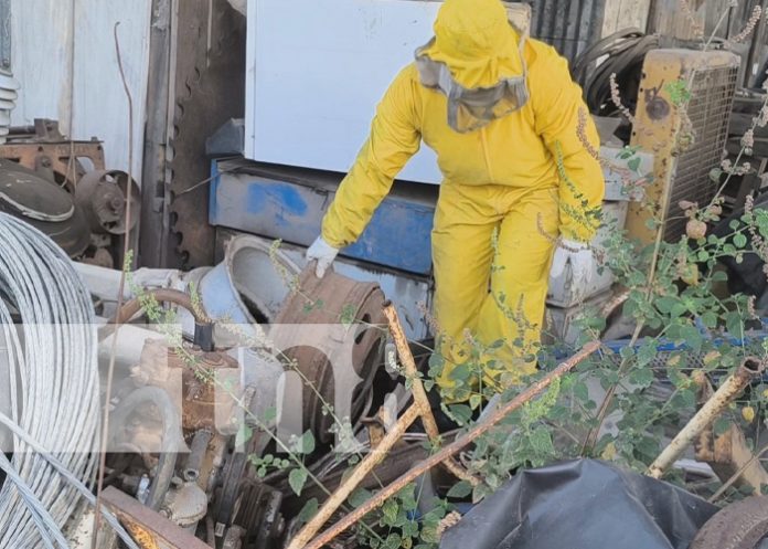 Foto: Ataque de abejas en un barrio de Estelí / TN8