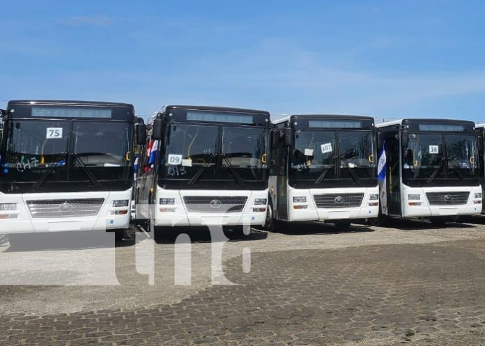 Foto: Nicaragua recibe 218 nuevos buses Yutong/Tn8 Foto: Nicaragua recibe 218 nuevos buses Yutong/Tn8
