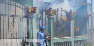 Foto: Fumigación y abatización: las armas clave contra el zancudo en el barrio Hugo Chávez, Managua / TN8