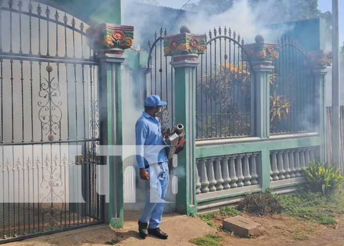 Foto: Fumigación y abatización: las armas clave contra el zancudo en el barrio Hugo Chávez, Managua / TN8 Foto: Fumigación y abatización: las armas clave contra el zancudo en el barrio Hugo Chávez, Managua / TN8