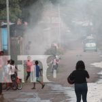 Ataque de abejas en Bluefields deja siete personas heridas, incluyendo una menor Foto: Ataque de abejas en Bluefields deja siete personas heridas, incluyendo una menor/TN8