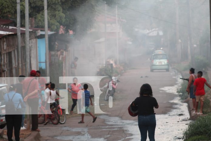 Foto: Ataque de abejas en Bluefields deja siete personas heridas, incluyendo una menor/TN8