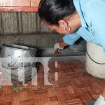 Segunda Campaña Nacional de Desratización inicia en Nicaragua Foto: Campaña de desratización busca proteger a miles de familias en Boaco/TN8