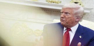 Foto: Trump apuesta por la grandeza /cortesía