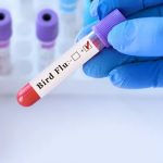 México reporta la primera muerte por gripe aviar Foto: Alarma en México /cortesía