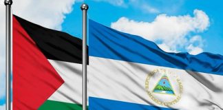 Foto: Nicaragua denuncia en la ONU genocidio contra Palestina y exige cese inmediato al fuego /cortesía