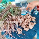 Mujeres emprendedoras elaboran remedios naturales en Nandaime