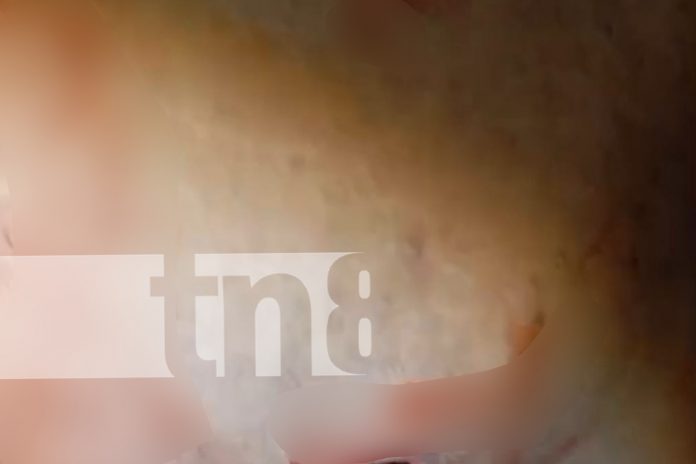 Foto: ¡Sangrienta noche en Estelí! Joven apuñalado por negarse a dar dinero para licor/TN8