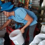 ¡Meta cumplida! Nicaragua logra el 100% en la Campaña Nacional de Desratización