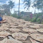Nicaragua lista para abastecer con pescado seco en Semana Santa Foto: Nicaragua lista para abastecer con pescado seco en Semana Santa /Cortesía