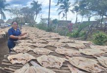 Nicaragua lista para abastecer con pescado seco en Semana Santa Foto: Nicaragua lista para abastecer con pescado seco en Semana Santa /Cortesía