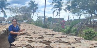 Foto: Nicaragua lista para abastecer con pescado seco en Semana Santa /Cortesía