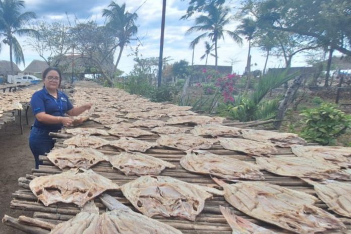 Foto: Nicaragua lista para abastecer con pescado seco en Semana Santa /Cortesía Foto: Nicaragua lista para abastecer con pescado seco en Semana Santa /Cortesía
