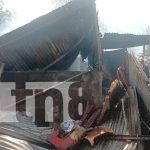 Foto: Fuerte incendio en Ciudad Sandino: dos casas afectadas y varios animales calcinados/TN8