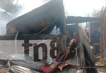 Fuerte incendio en Ciudad Sandino: dos casas afectadas y varios animales calcinados Foto: Fuerte incendio en Ciudad Sandino: dos casas afectadas y varios animales calcinados/TN8