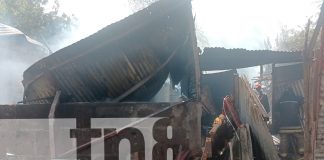Foto: Fuerte incendio en Ciudad Sandino: dos casas afectadas y varios animales calcinados/TN8
