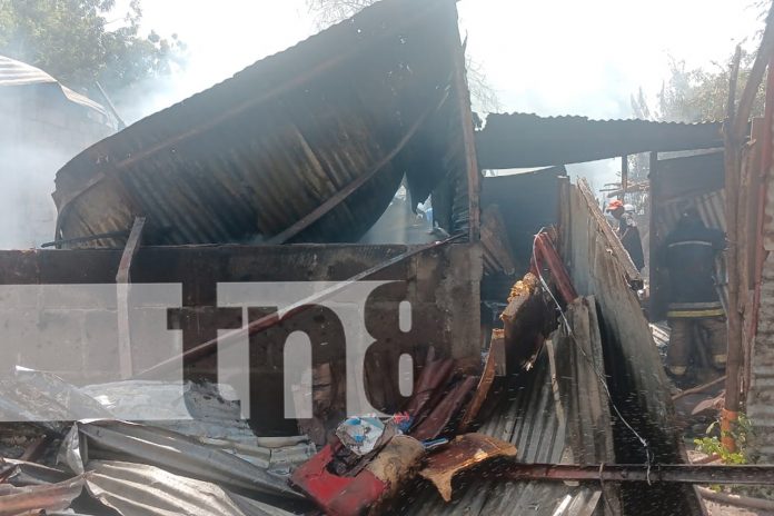 1 Foto: Fuerte incendio en Ciudad Sandino: dos casas afectadas y varios animales calcinados/TN8