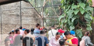 Foto: Zoológico Nacional de Nicaragua/TN8