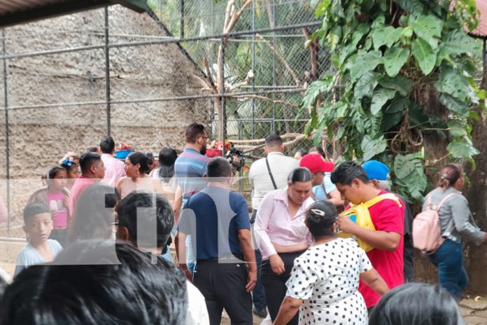 Foto: Zoológico Nacional de Nicaragua/TN8