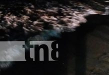 Clavado mortal en Rivas: joven muere ahogado en la poza San Félix Foto: Clavado mortal en Rivas: joven muere ahogado en la posa San Félix/TN8
