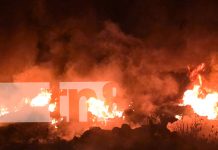 ¡A punto de una tragedia! Fuego en maleza casi alcanza casas en Ciudad Sandino Foto: ¡A punto de una tragedia! Fuego en maleza casi alcanza casas en Ciudad Sandino/TN8