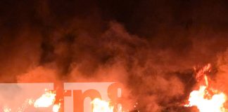 Foto: ¡A punto de una tragedia! Fuego en maleza casi alcanza casas en Ciudad Sandino/TN8
