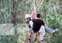 Foto: ¡Adrenalina entre los pinos! Canopy en San Nicolás conquista a turistas aventureros/TN8