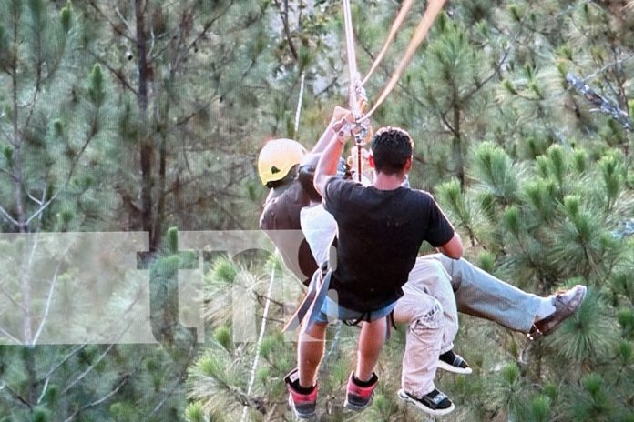 Foto: ¡Adrenalina entre los pinos! Canopy en San Nicolás conquista a turistas aventureros/TN8