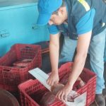 INPESCA realiza monitoreo pesquero en comunidades costeras de León y Chinandega