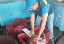 INPESCA realiza monitoreo pesquero en comunidades costeras de León y Chinandega