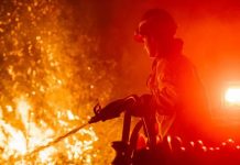 Fuego arrasa miles de hectáreas en Nueva Jersey, EE. UU. Foto: Llamas arrasan el sur de Nueva Jersey /cortesía
