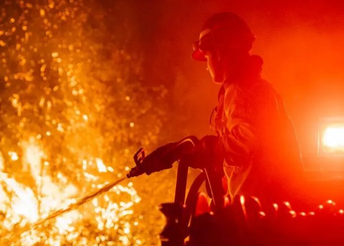 Foto: Llamas arrasan el sur de Nueva Jersey /cortesía