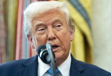 “Oferta final”: Trump propone plan de paz para Ucrania Foto: Plan de Trump para Ucrania /cortesía