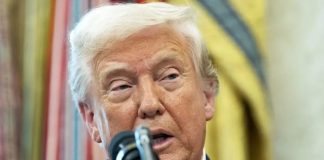 Foto: Plan de Trump para Ucrania /cortesía
